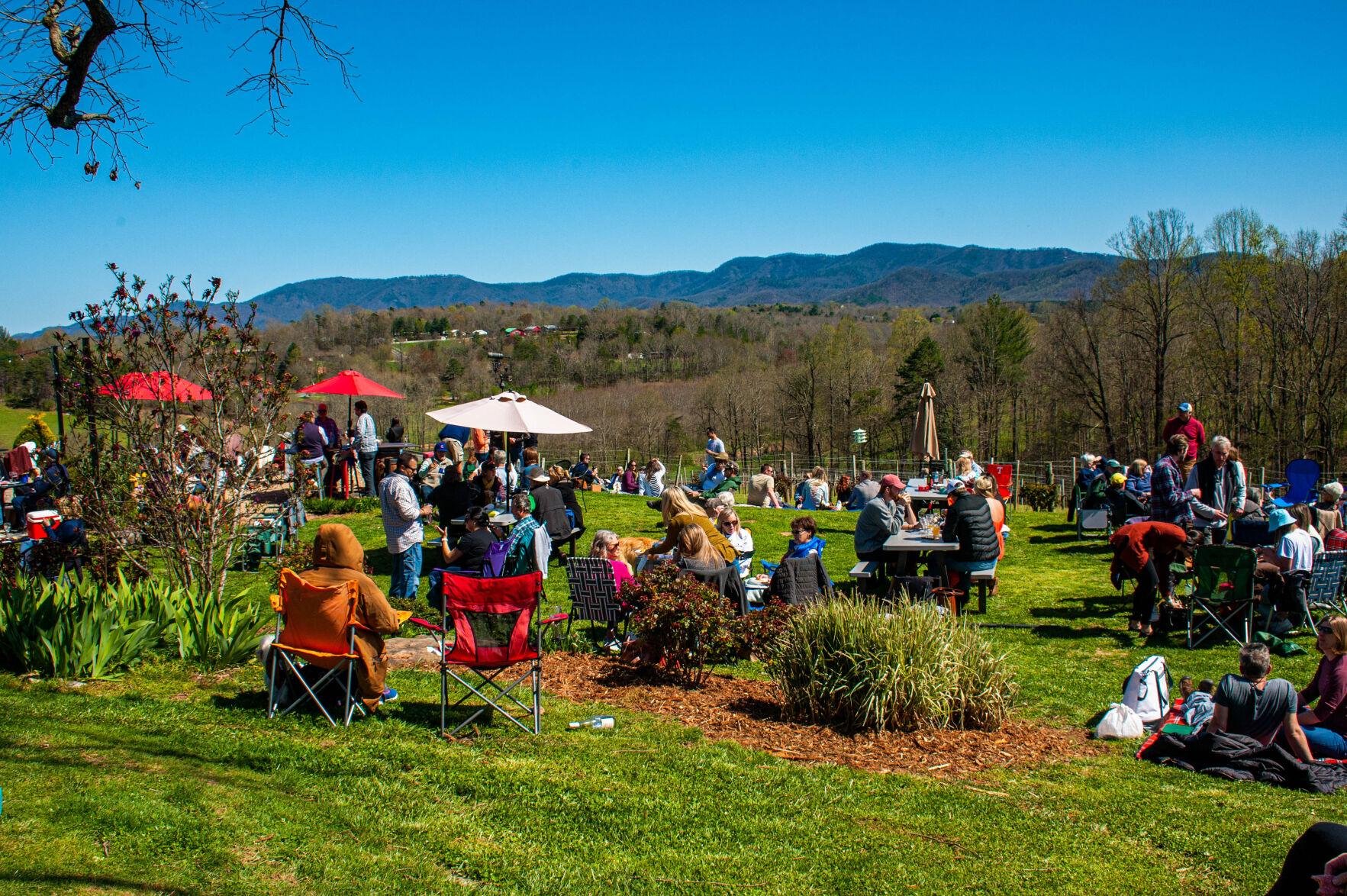 20210403-LEE_1815-Edit.jpg